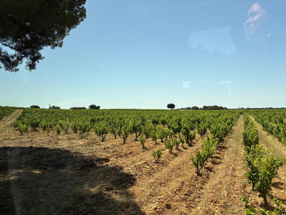 Voyage Chateau Neuf