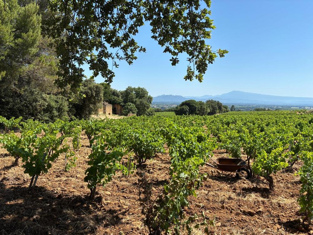 Voyage Chateau Neuf