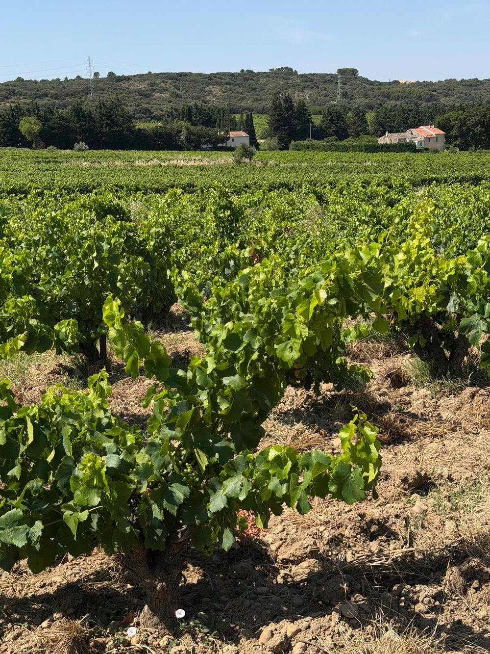 Voyage Chateau Neuf