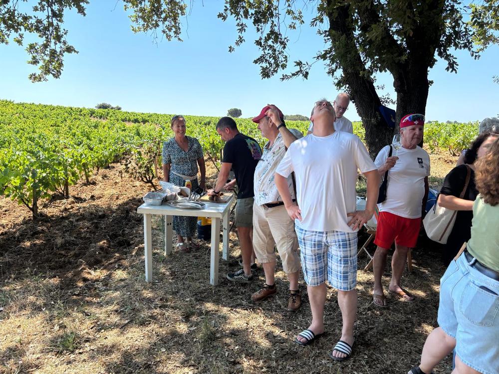 Voyage Chateau Neuf