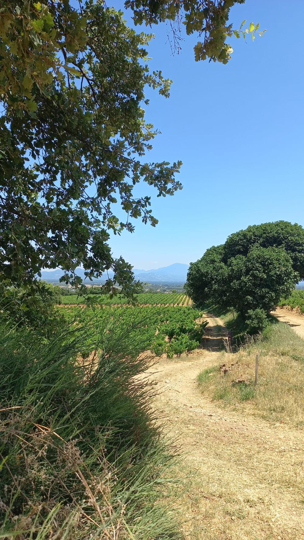 Voyage Chateau Neuf