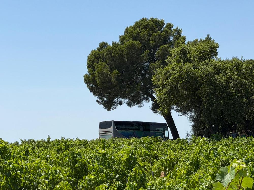 Voyage Chateau Neuf